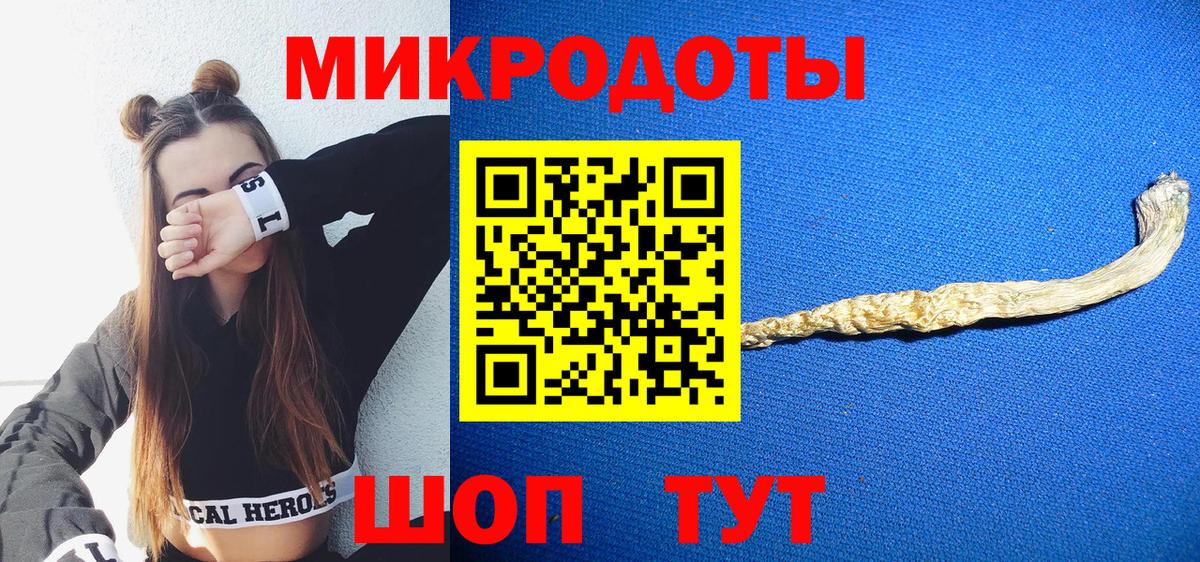 Псилоцибиновые грибы Psilocybine cubensis Череповец