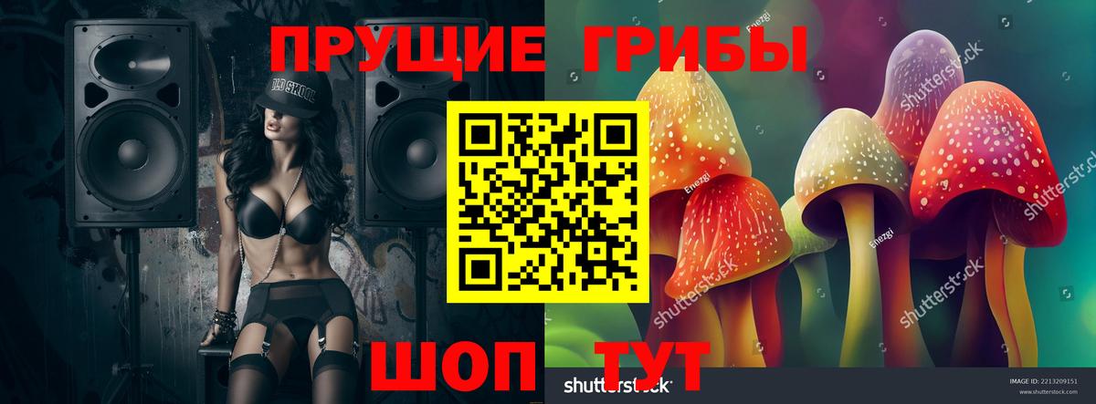 Галлюциногенные грибы ЛСД  Галлюциногенные грибы ЛСД  Череповец  купить наркотик  Вход с VPN 